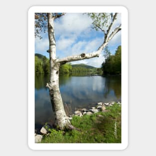 Spring on Woodard Reservoir Sticker